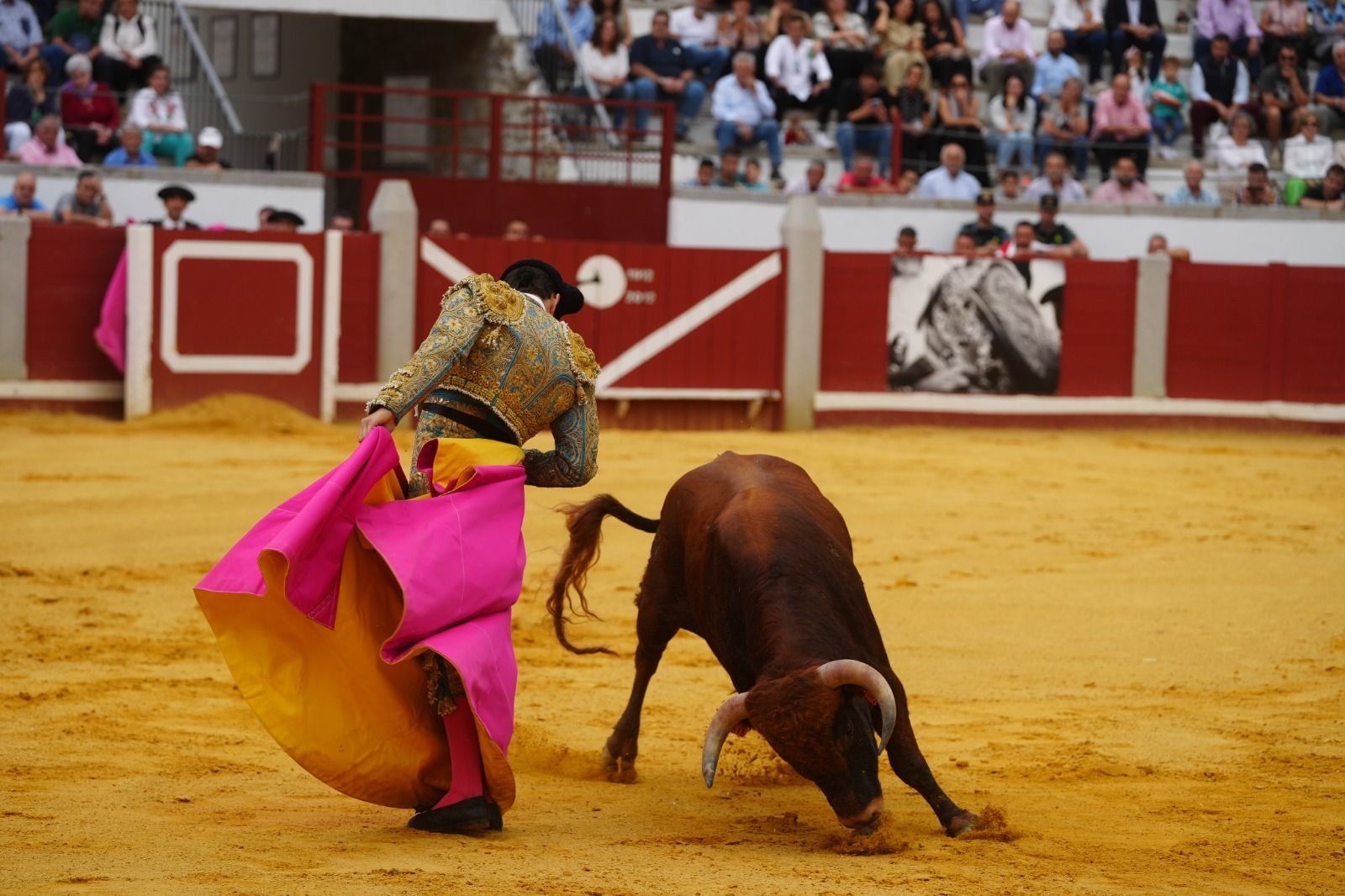 El mano a mano de los novilleros José Antonio de Gracia y El Candela en Pozoblanco, en imágenes