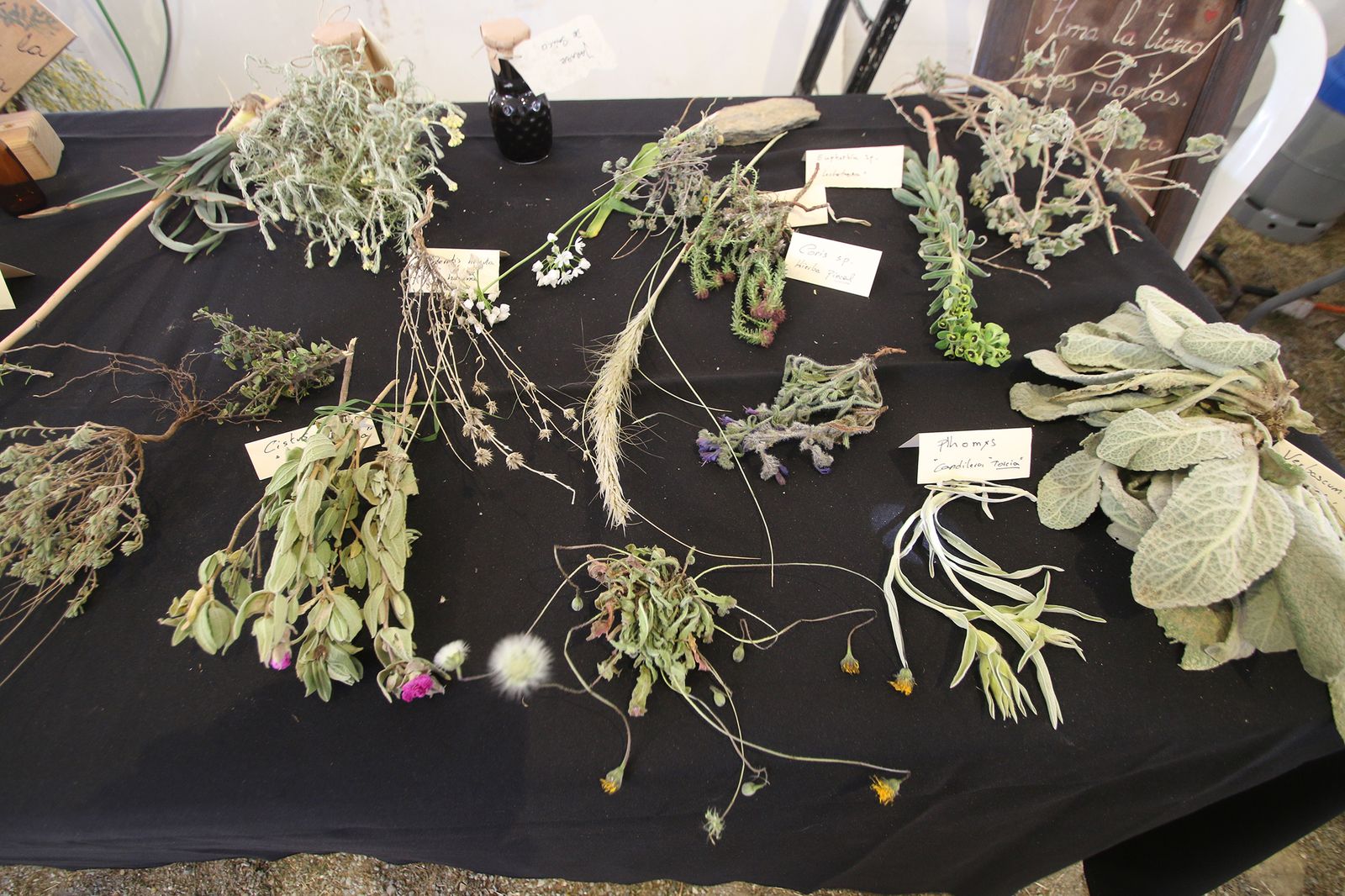 Fotogalería del Día del Orgullo Rural en Serón