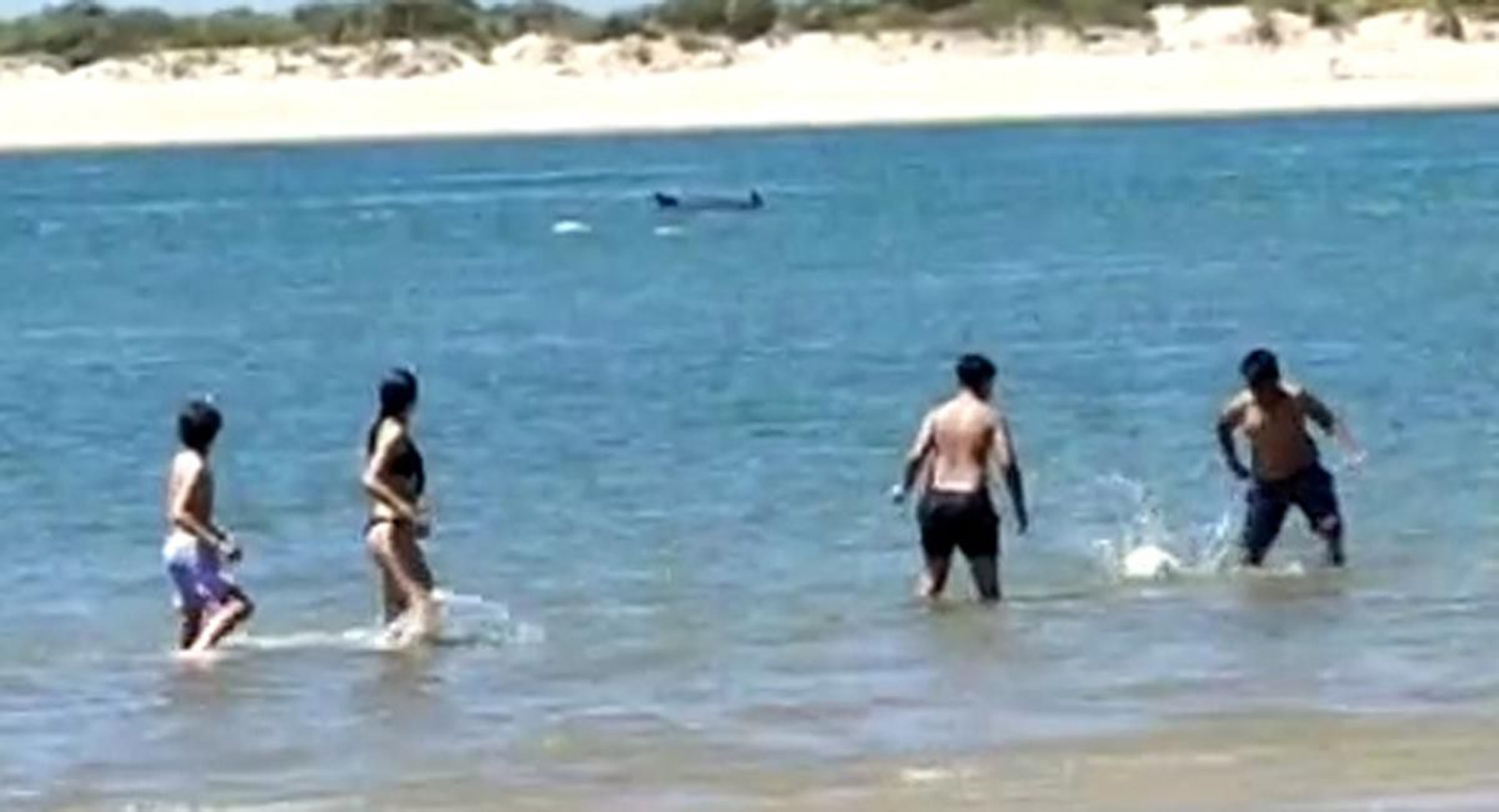 Fotograma del vídeo remitido a esta redacción por la pequeña Jimena, de Cartaya