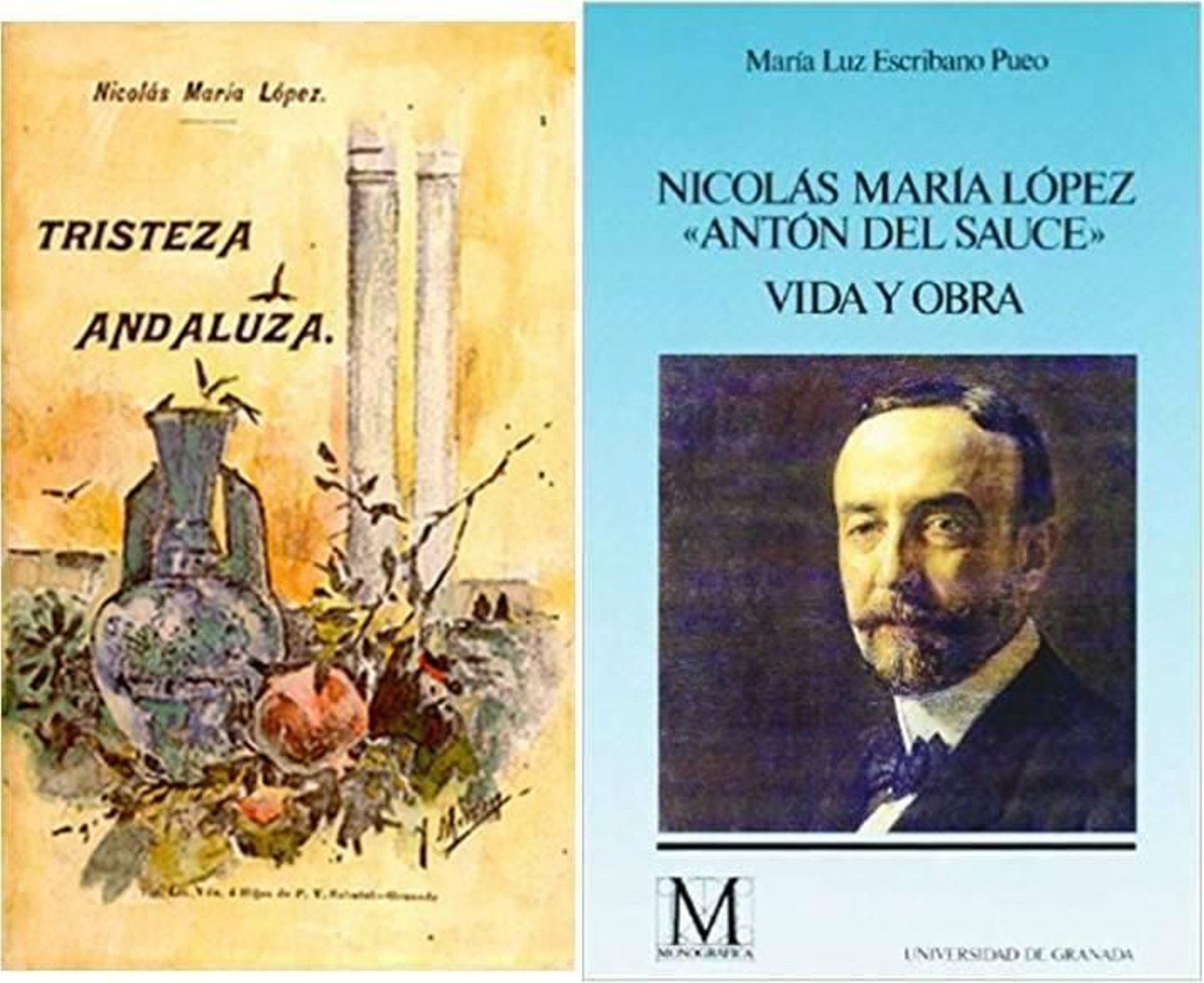 Vida y obra de Nicolás María López.