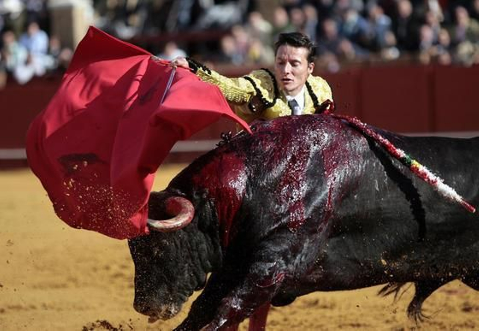 Diego Urdiales, con el primer toro de la tarde en la Maestranza en la octava corrida del abono.  Foto: Juan Carlos Muñoz