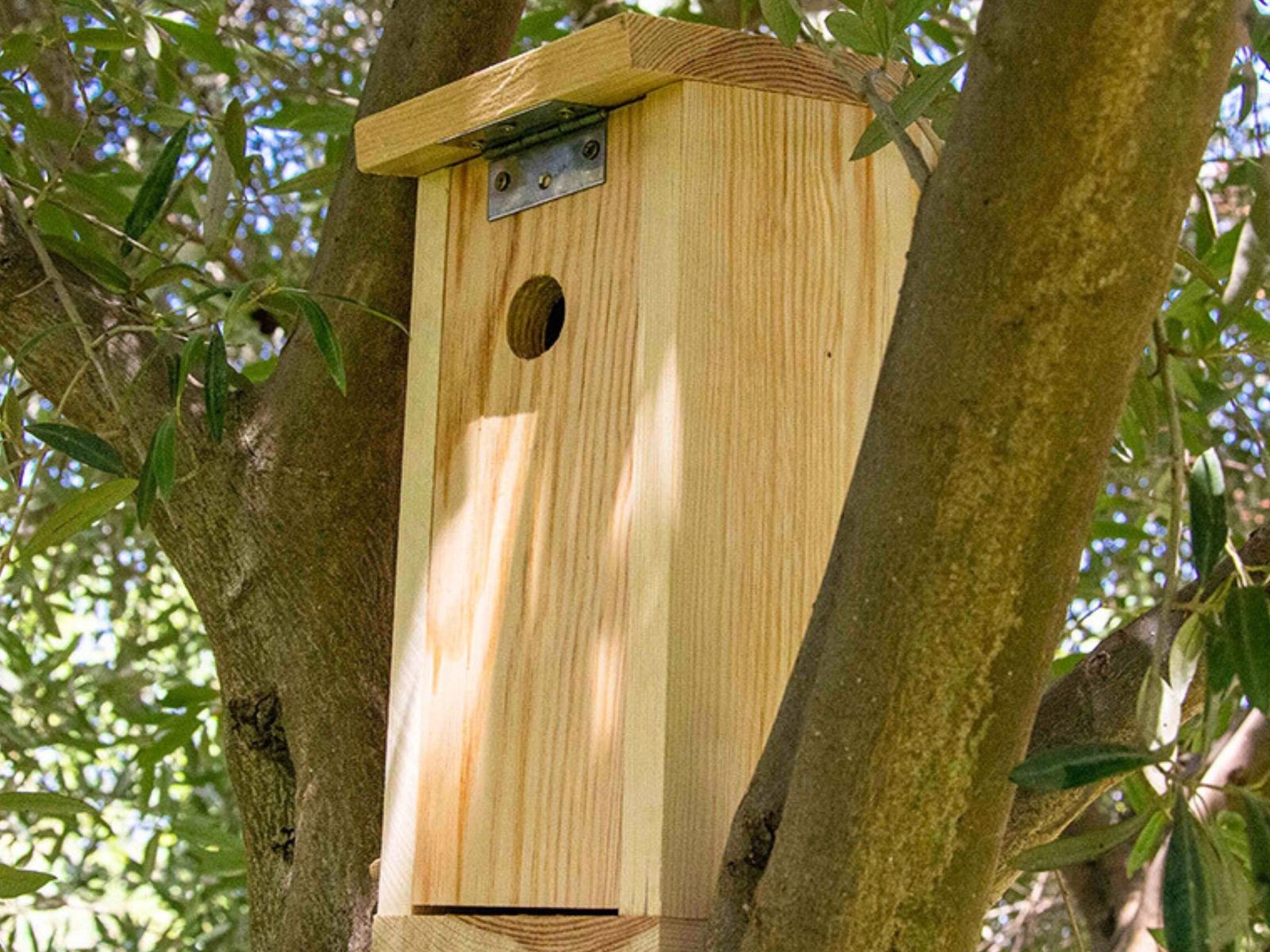 Uno de los nidales que se instalarán.