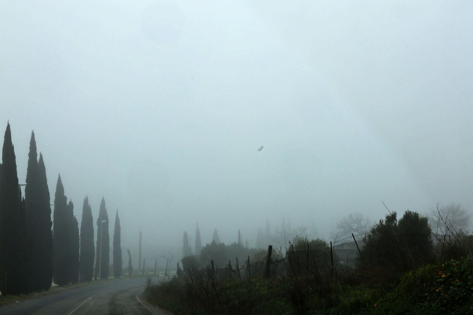 Imágenes de la espesa niebla durante la mañana en Huelva