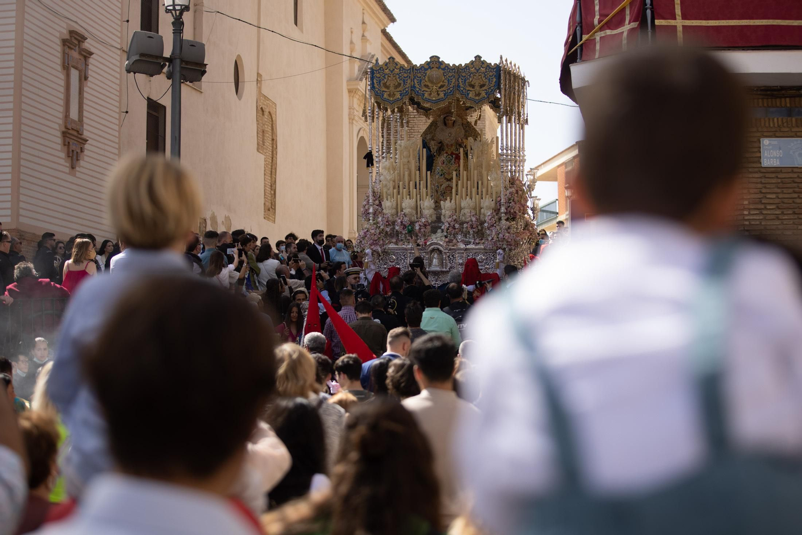 Imágenes del Domingo de Ramos: Hermandad de la Borriquita