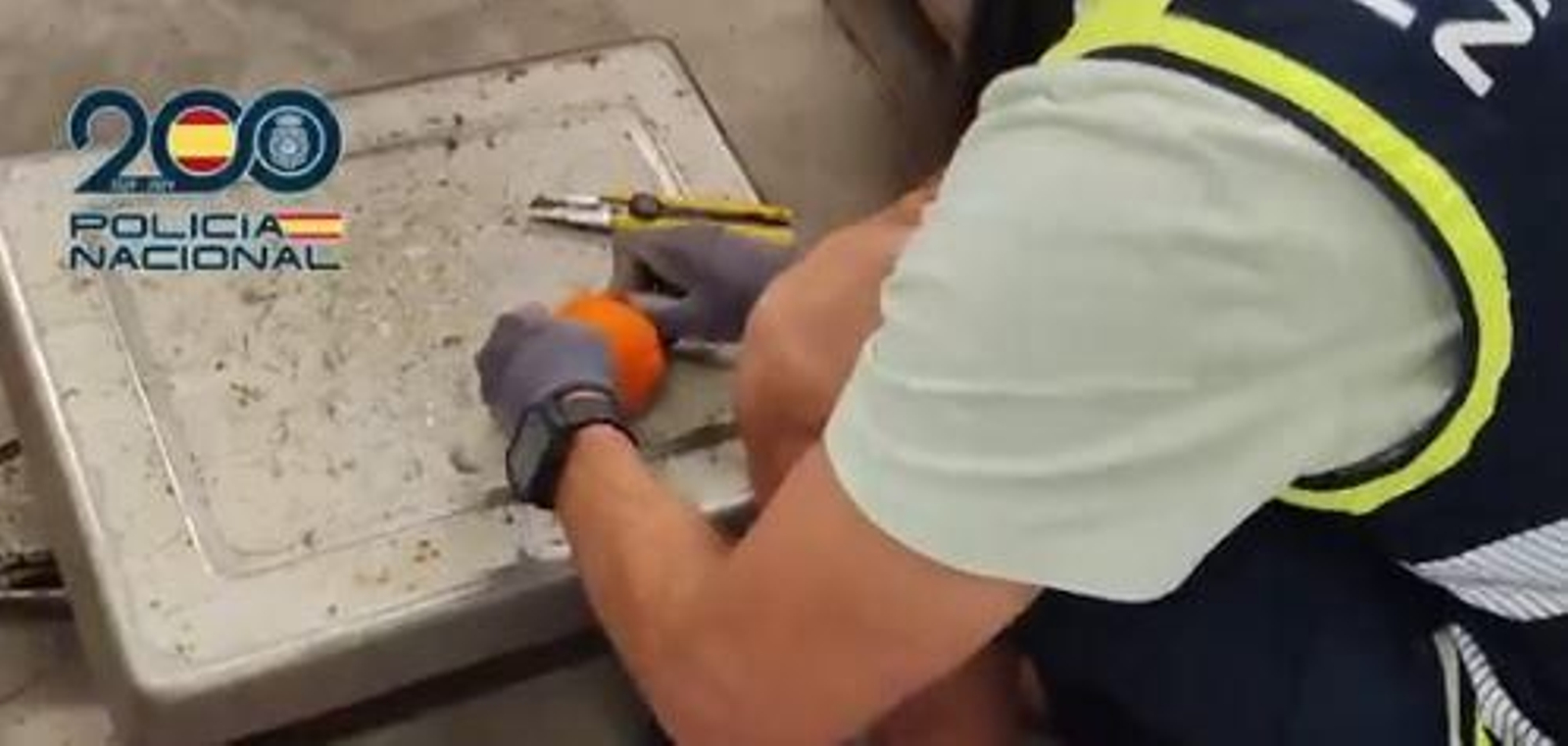 La Policía intercepta 1.800 kilos hachís como si fueran naranjas en El Palmar.