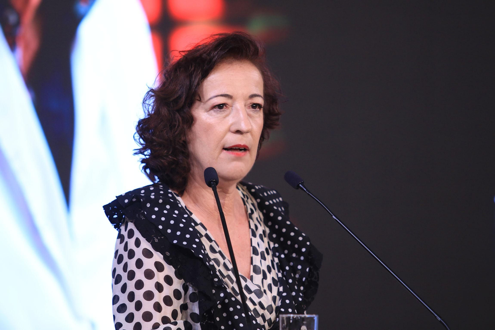 La diputación impone el Escudo de la Provincia a Pedro Caparrós