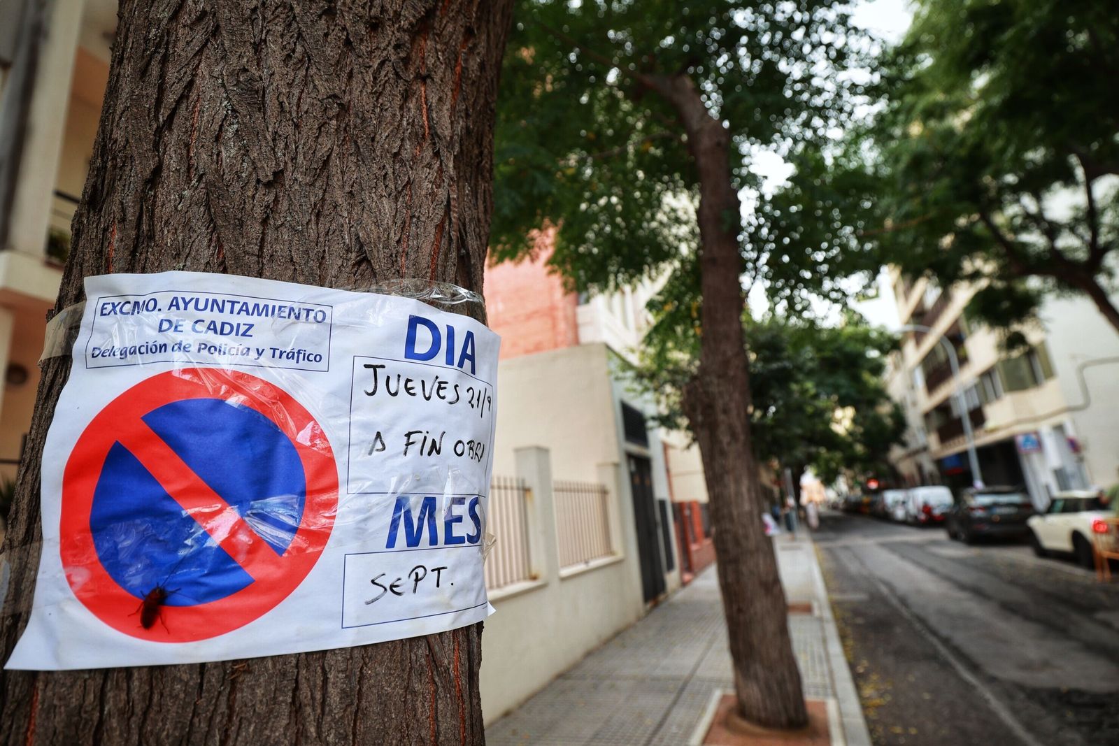Los carteles de prohibido aparcar ya se extienden hasta la calle Santa Cruz de Tenerife
