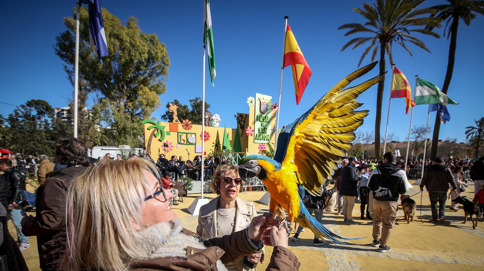 Búscate en San Antón de Jerez