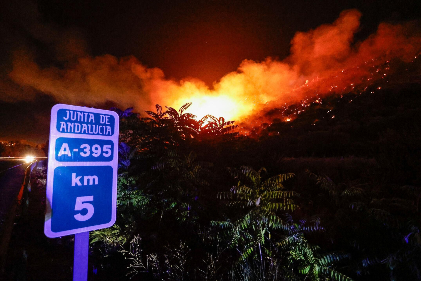 Granada _Incendio en (14388821).jpg