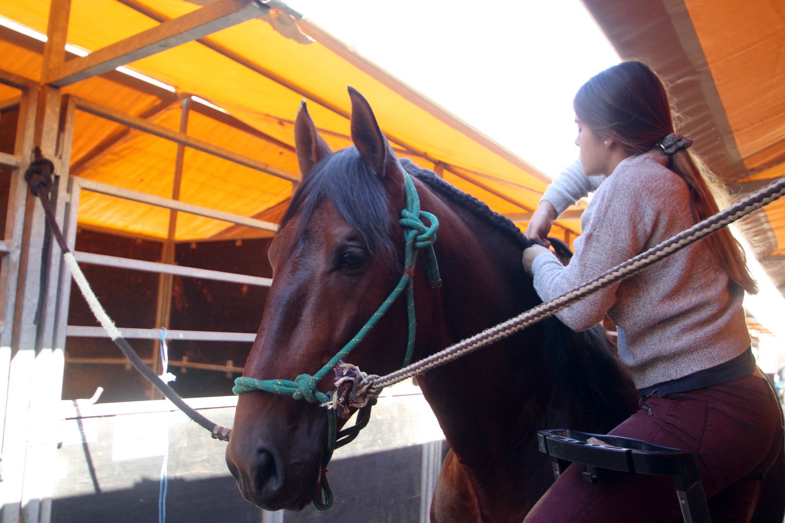 Sicab calienta motores.