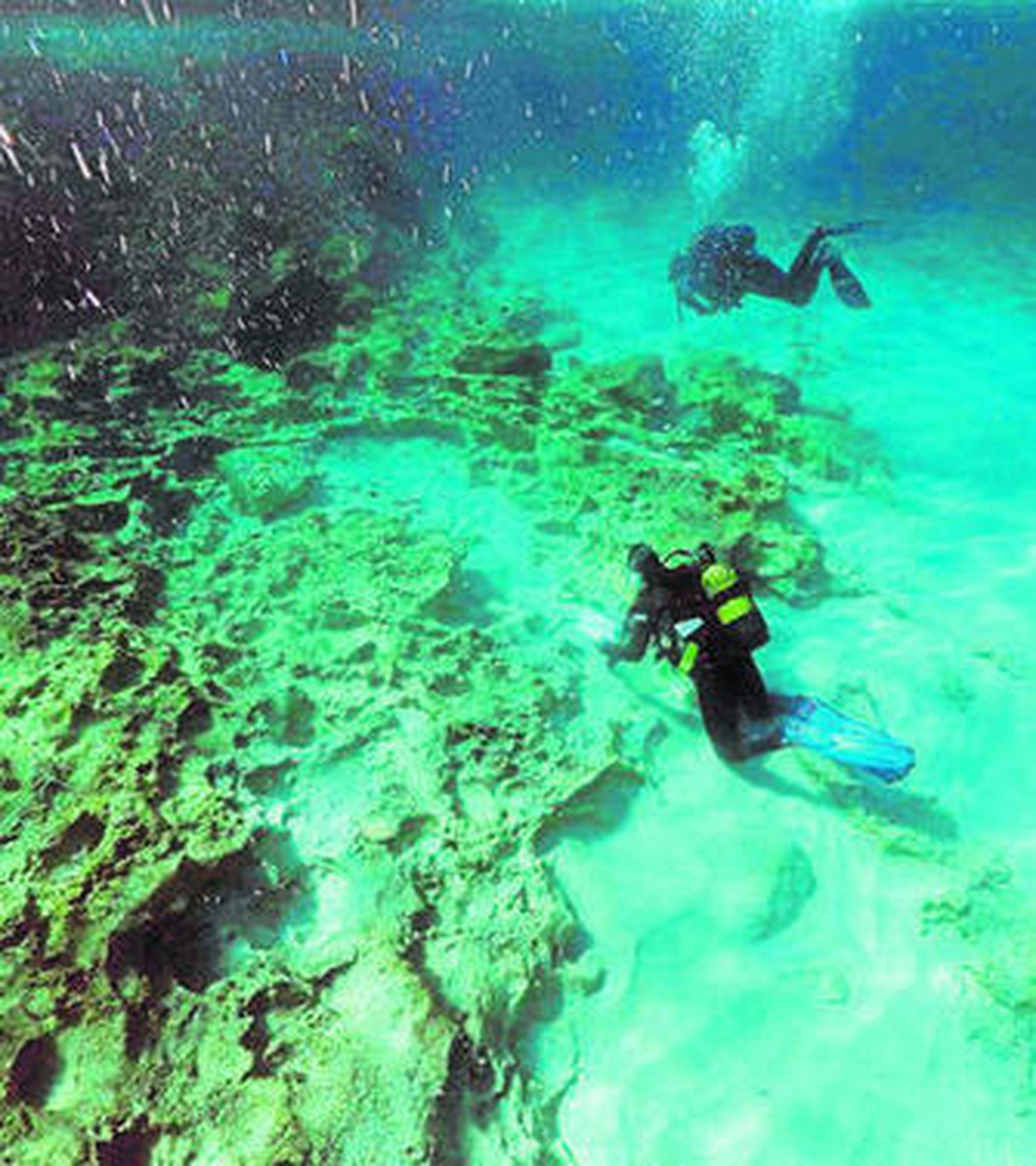 Un momento del proceso de documentación.