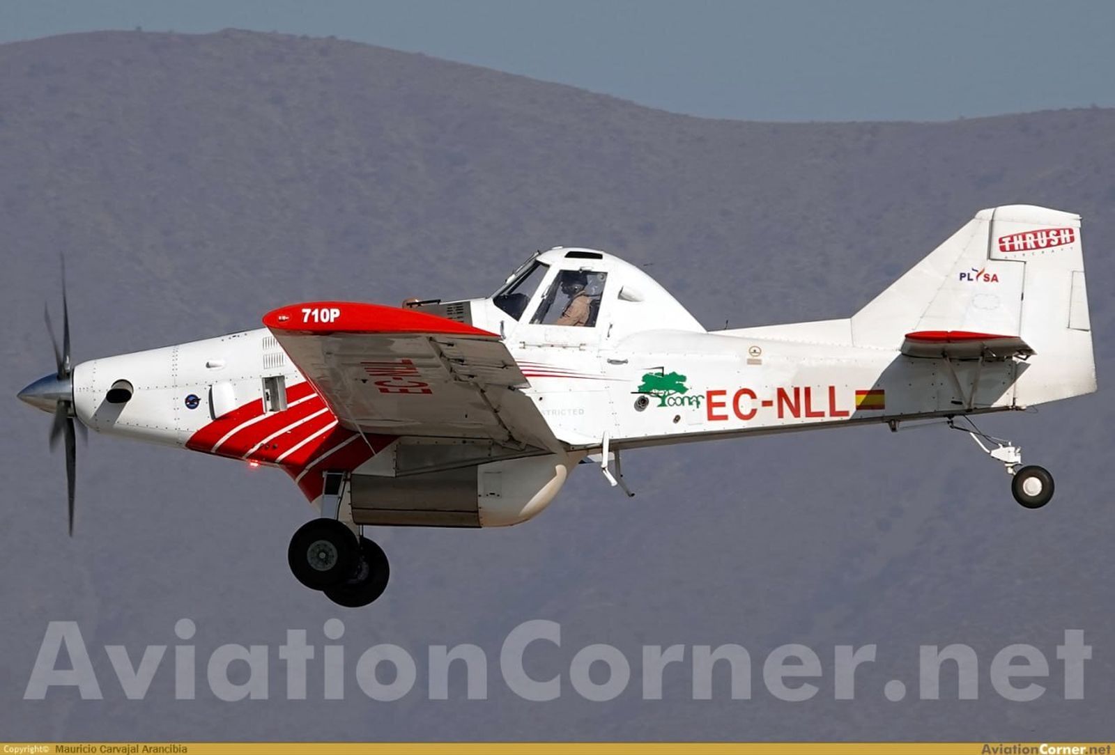 Un avión privado procedente de Cabo Verde causa desvíos y cancelaciones durante dos horas en el aeropuerto de Sevilla