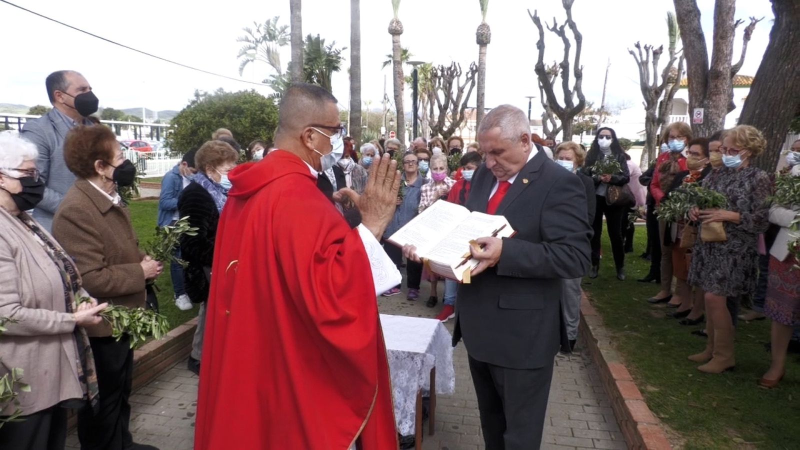 Las fotos del domingo de palmas y olivos en San Roque
