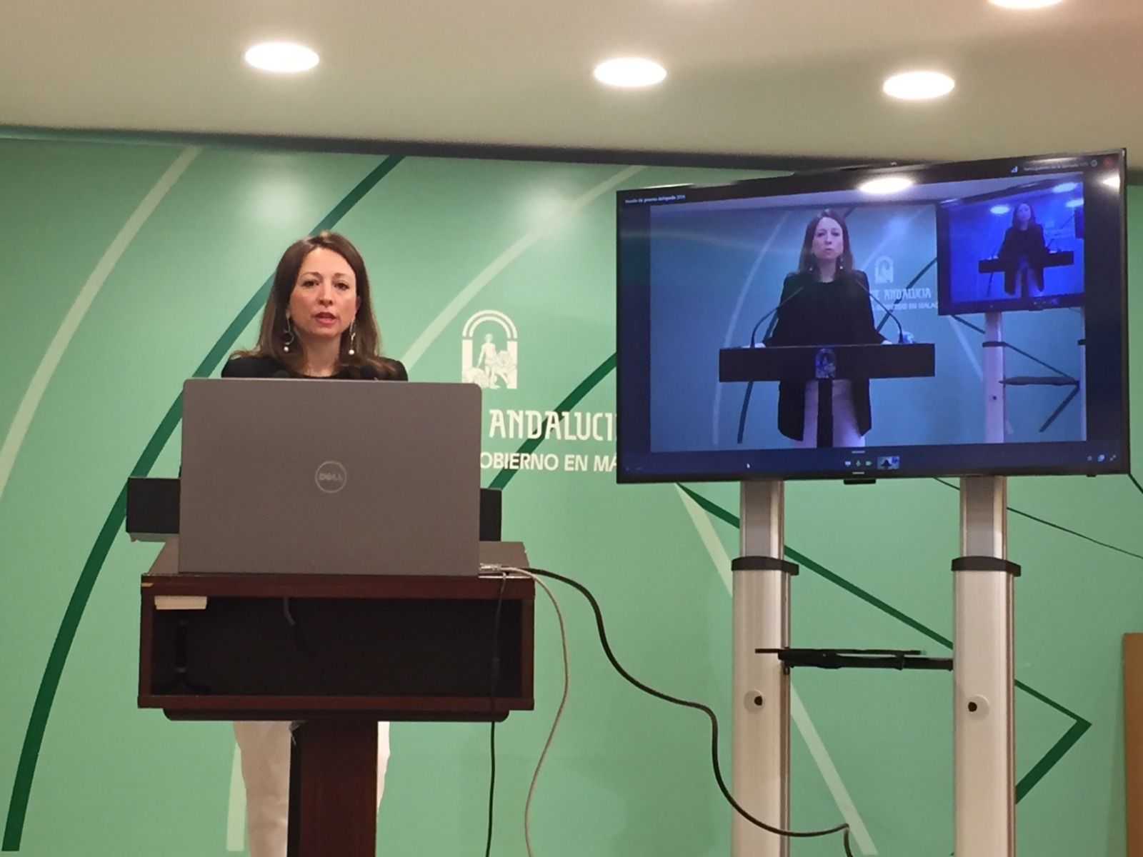 La delegada de la Junta en Málaga, en la rueda de prensa por videoconferencia.