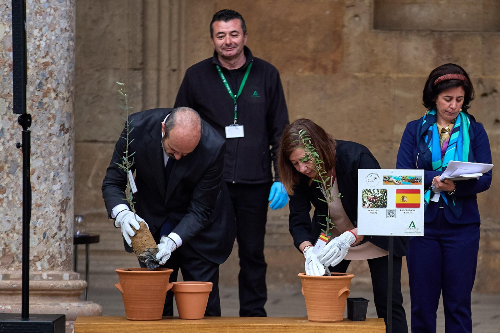 Todas las imágenes de la plantación del jardín de la paz en la Alhambra de Granada