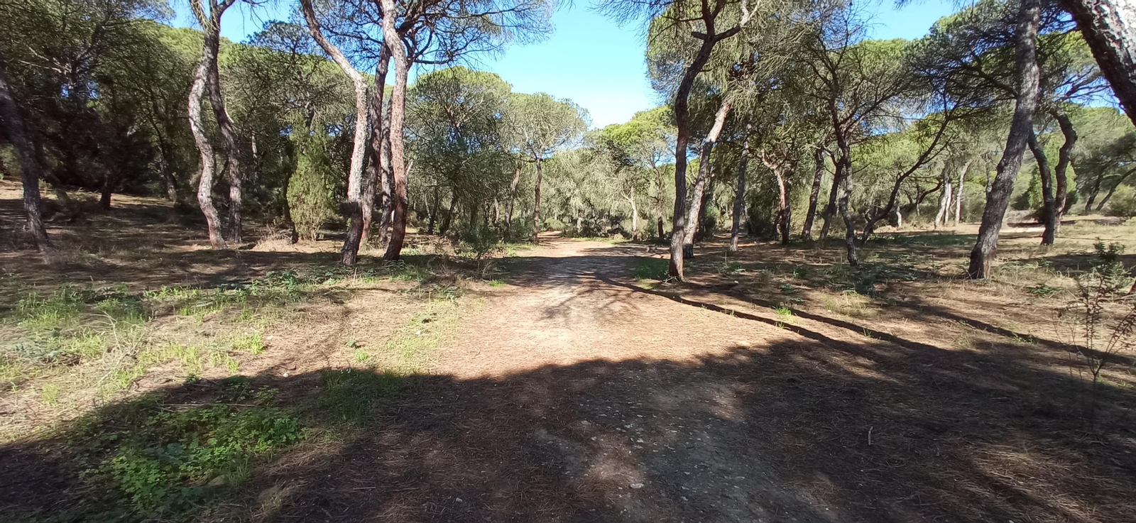 Las imágenes de la ruta de las salinas del Astur y los pinares de Punta Umbría
