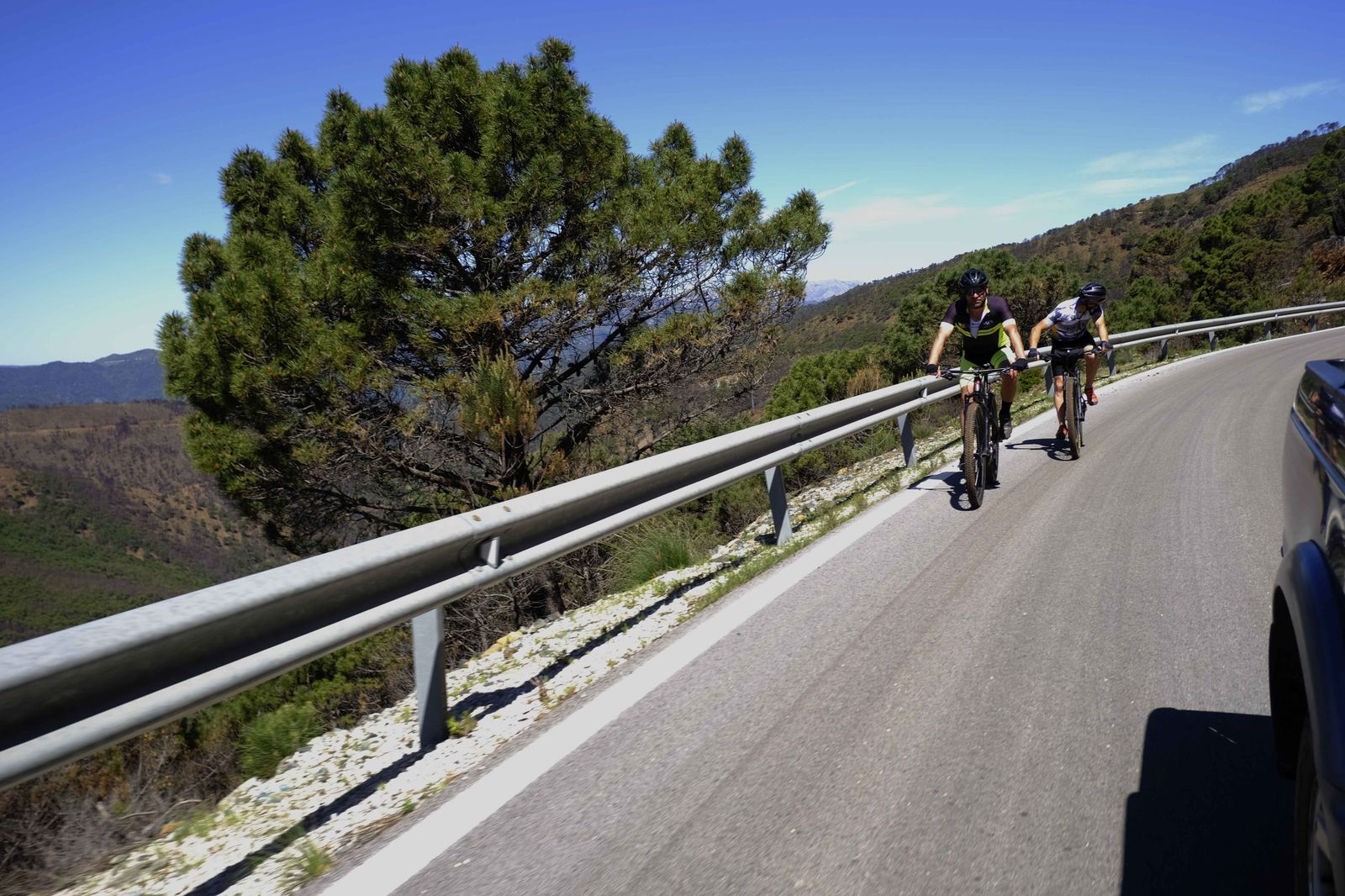 Así se recupera Sierra Bermeja tras el incendio (fotos)