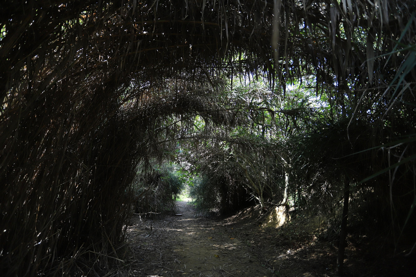Imágenes del mirador del Conquero, de los cabezos y Fuentevieja