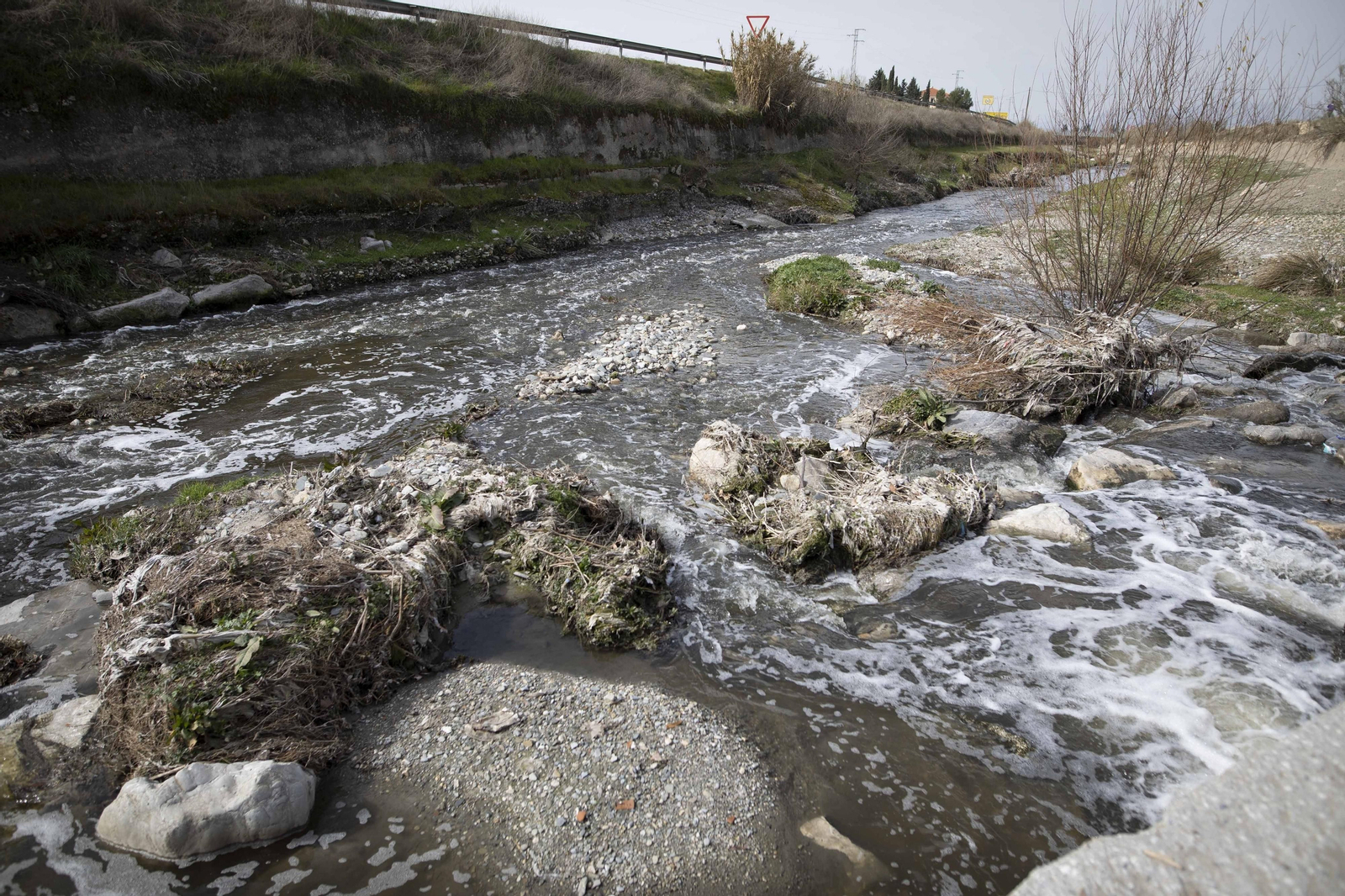 Fotos del 'cementerio' de toallitas que se acumula junto al río Genil en Granada