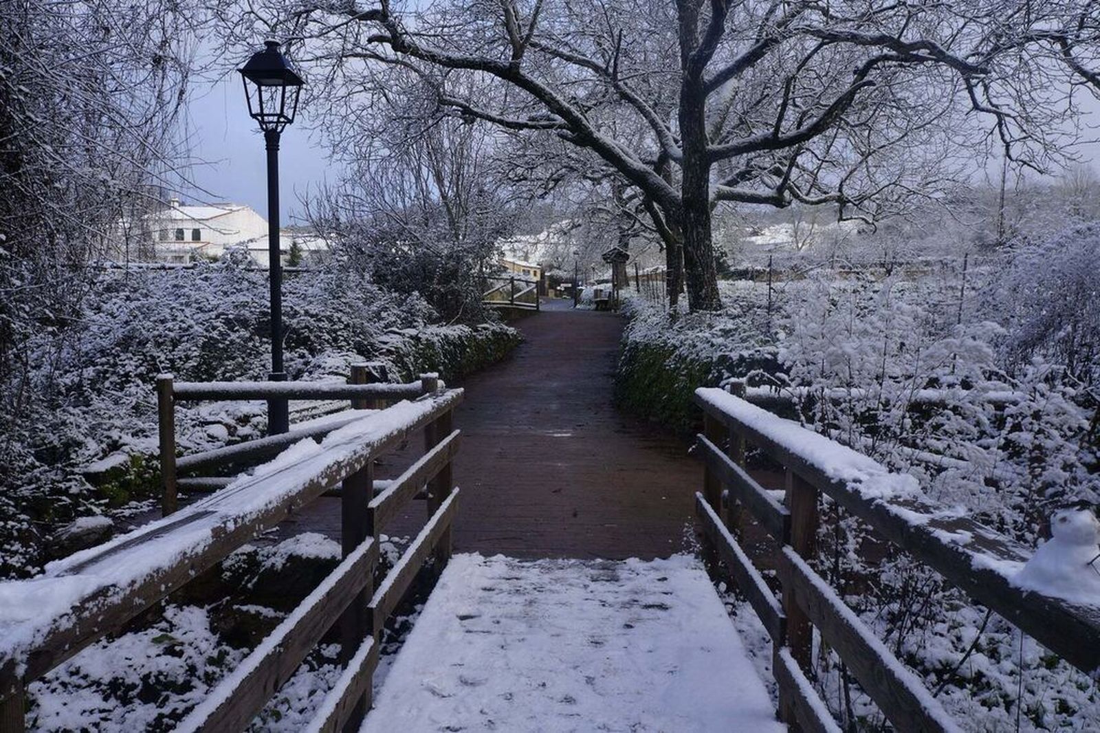La Sierra de Aracena completamente nevada: dos años después de Filomena