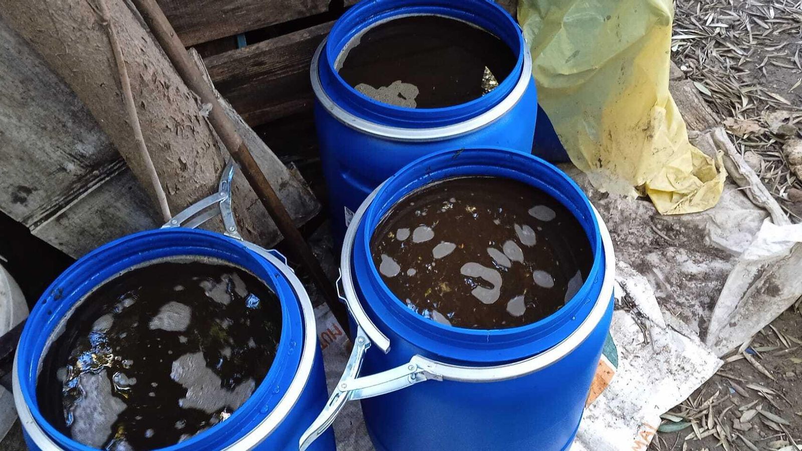 Proceso de fermentación de las algas.