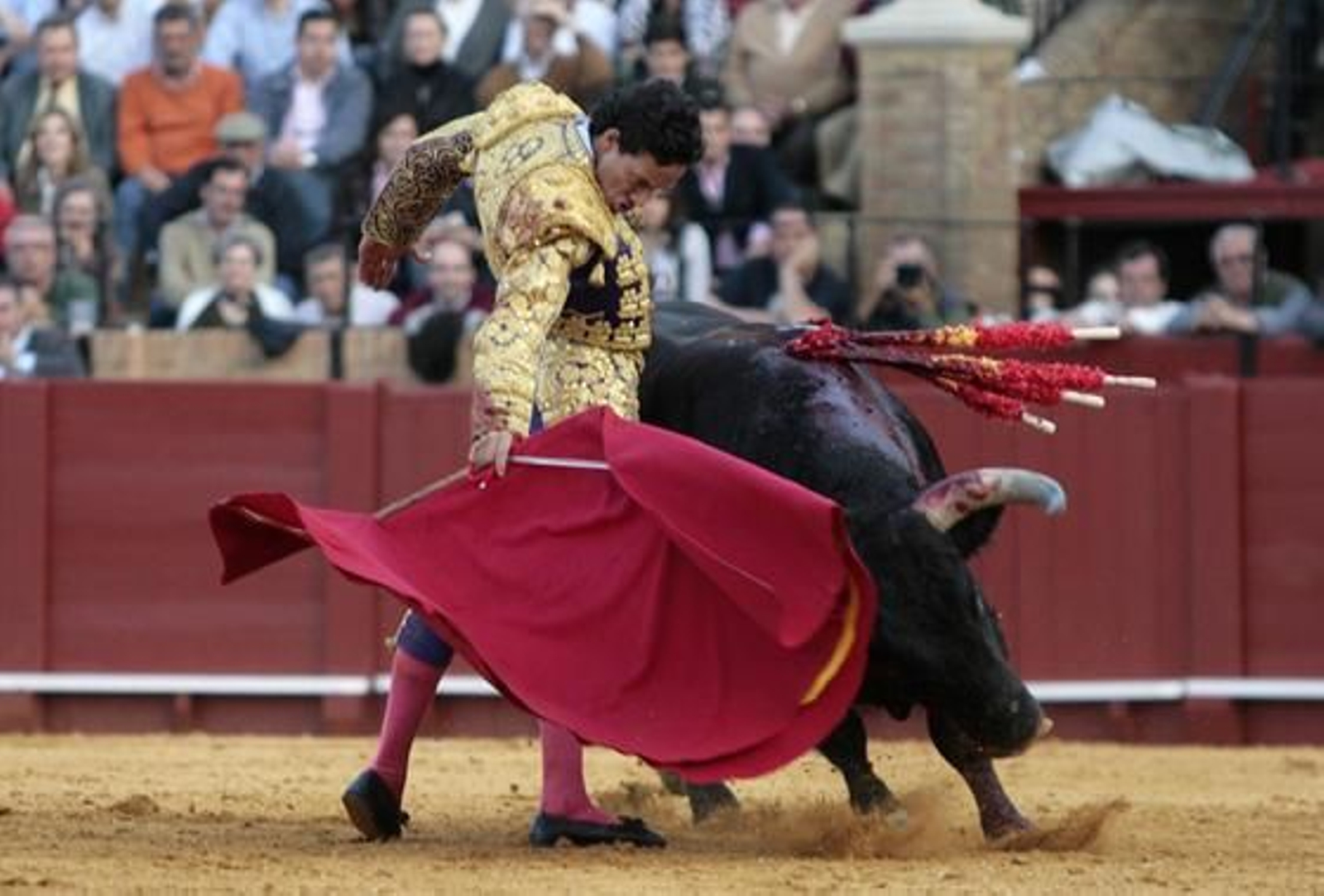 Derechazo de Oliva Soto al quinto de la tarde.

Foto: Juan Carlos Muñoz