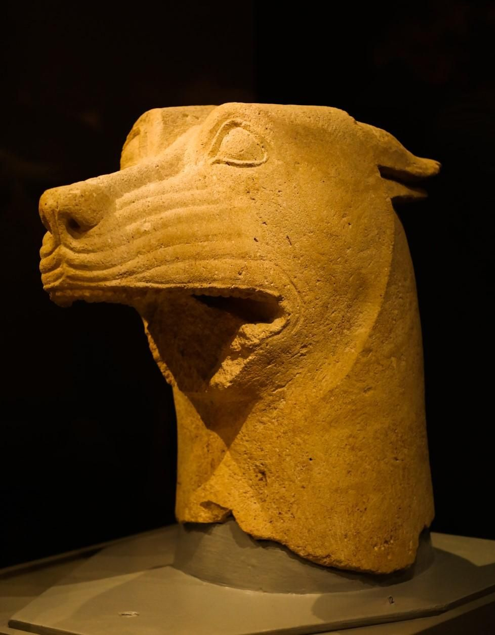 Las figuras en piedra que representan animales son una constante del mundo íbero que también encontrarás en el museo.