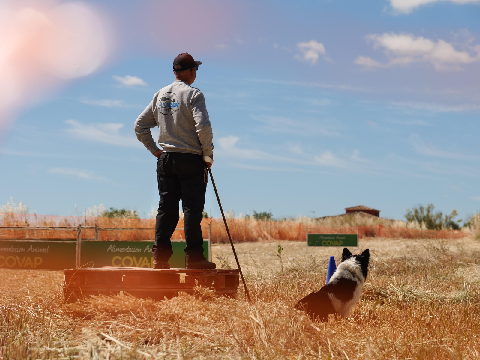 Las mejores fotos de la tercera y última jornada de la X Feria del Pastoreo de Villaralto