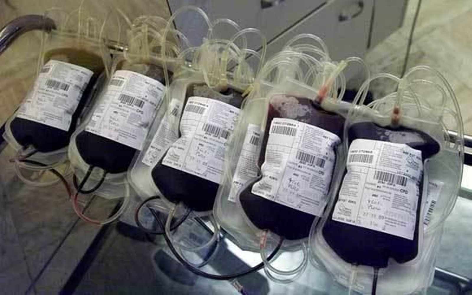 El CRTS pide que los ciudadanos acudan a donar sangre al punto del Hospital Universitario Puerta del Mar. /Juan Carlos Vázquez
