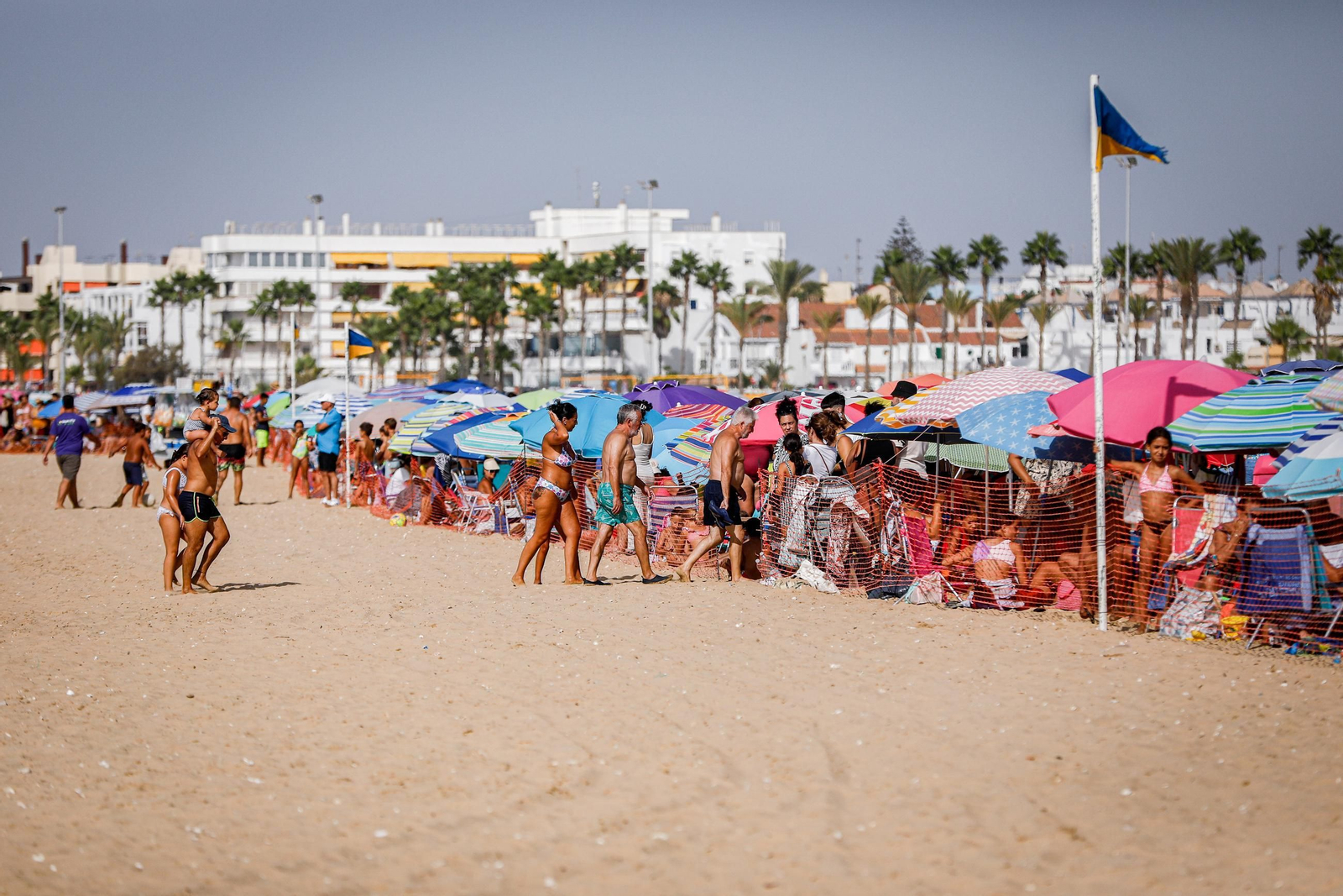 Imágenes de la segunda jornada del ciclo inicial de las Carreras de Caballos de Sanlúcar 2025
