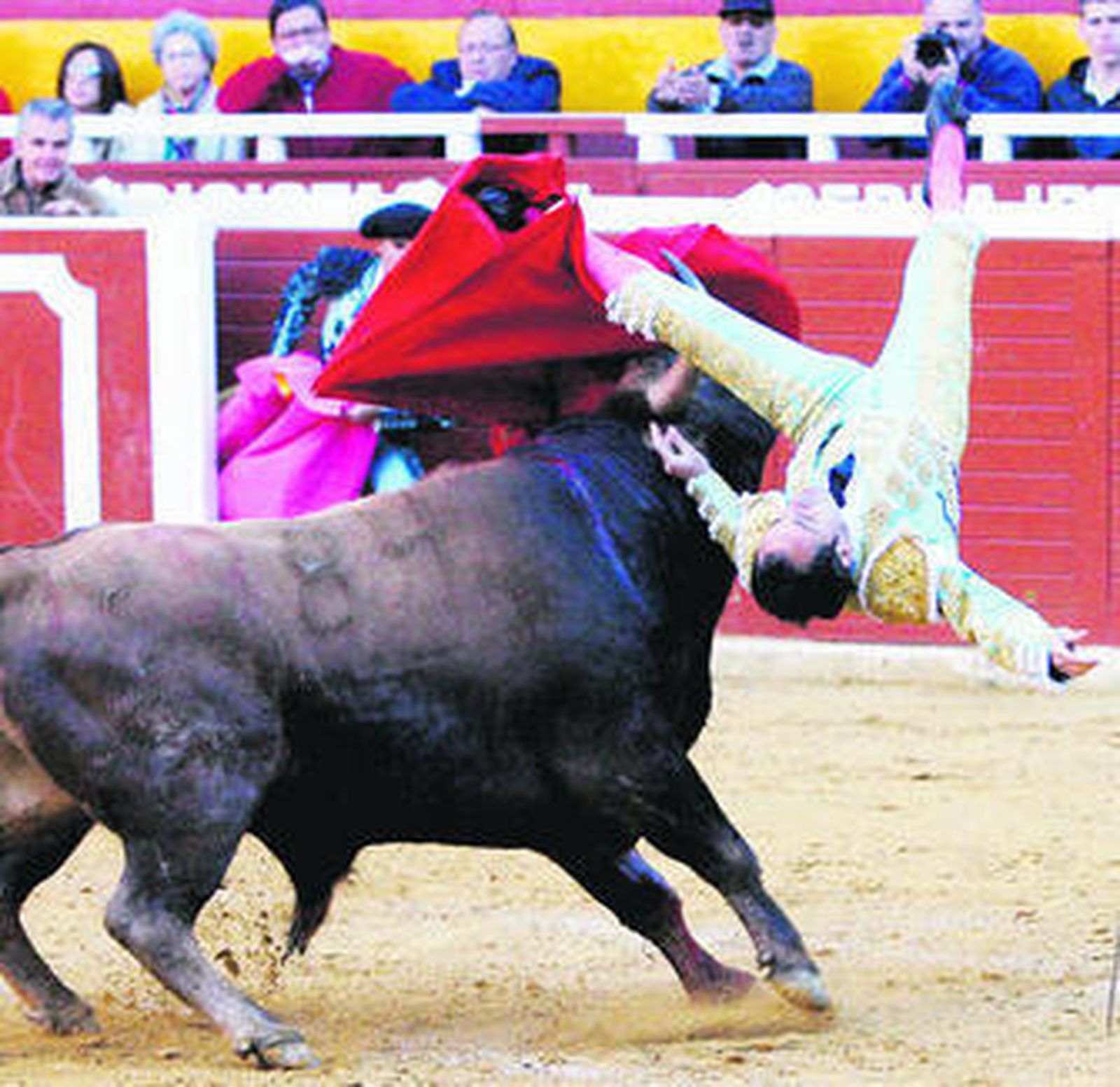 El novillero Rafael Tejada en el momento de ser corneado en Cieza.