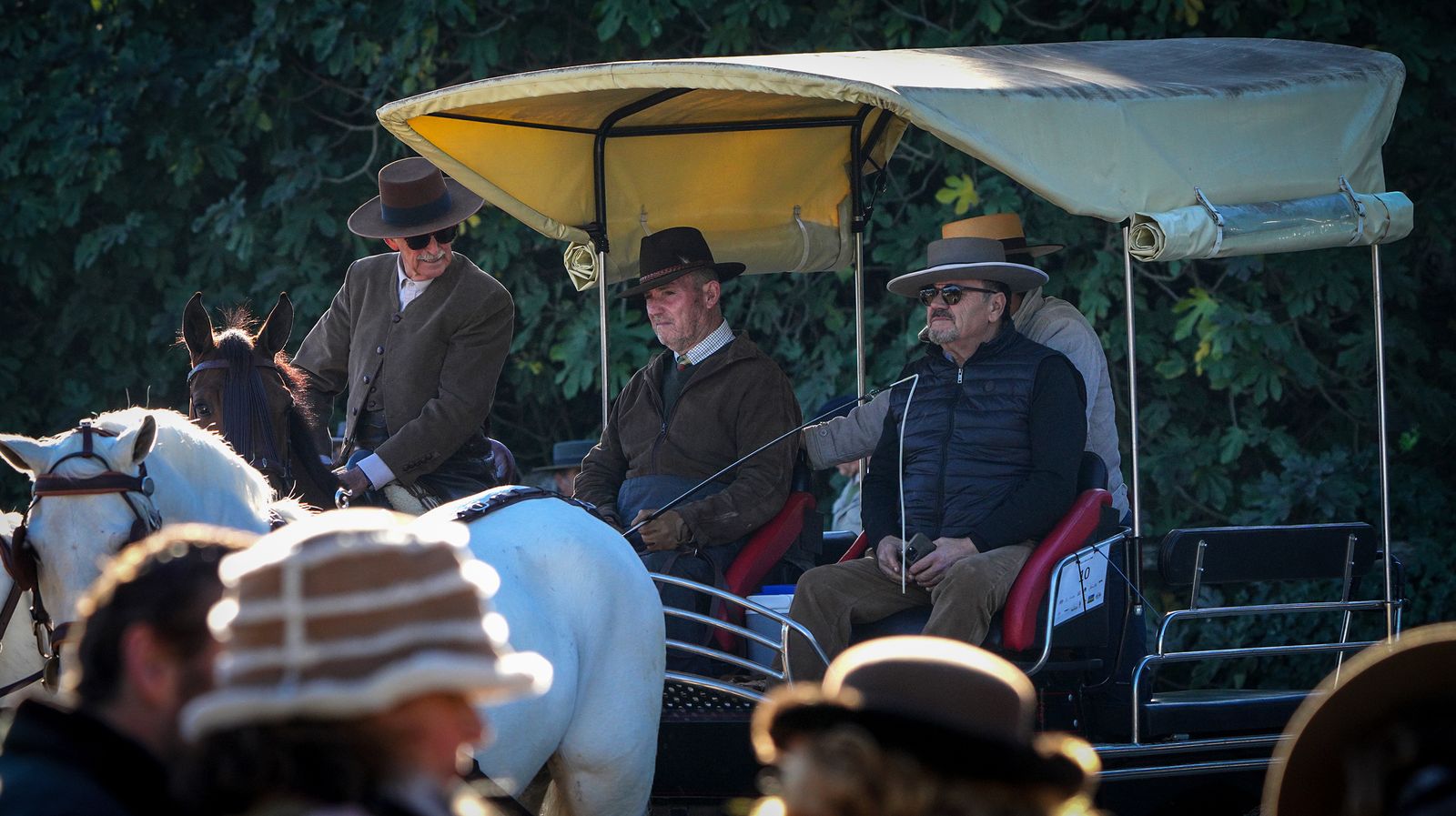 I Ruta de Carruajes Viñas de Jerez