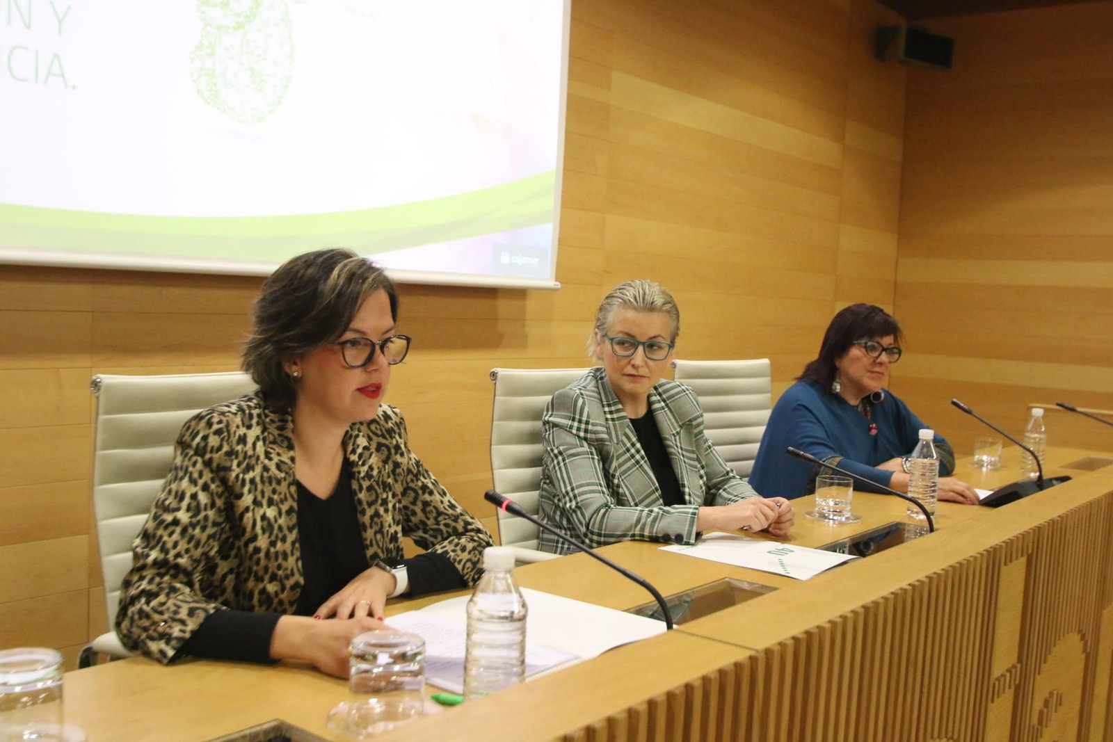 ‘Prevención de la discapacidad durante la gestación y en la infancia’