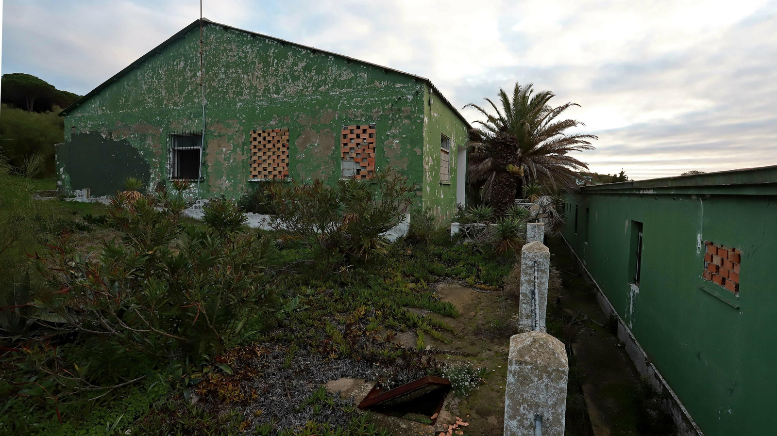 Las mejores fotos de Paloma Baja