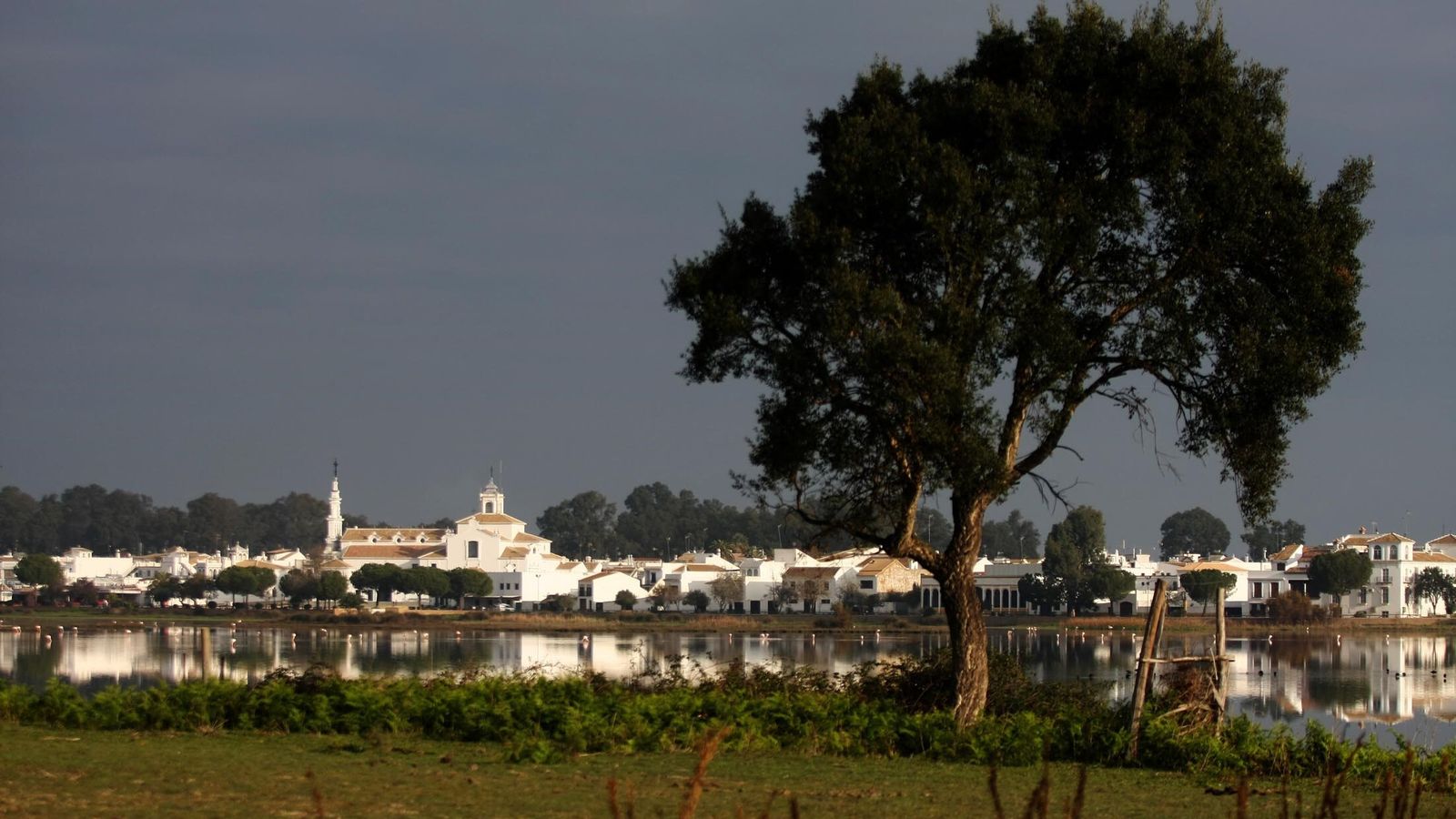 Doñana, en una imagen de archivo.