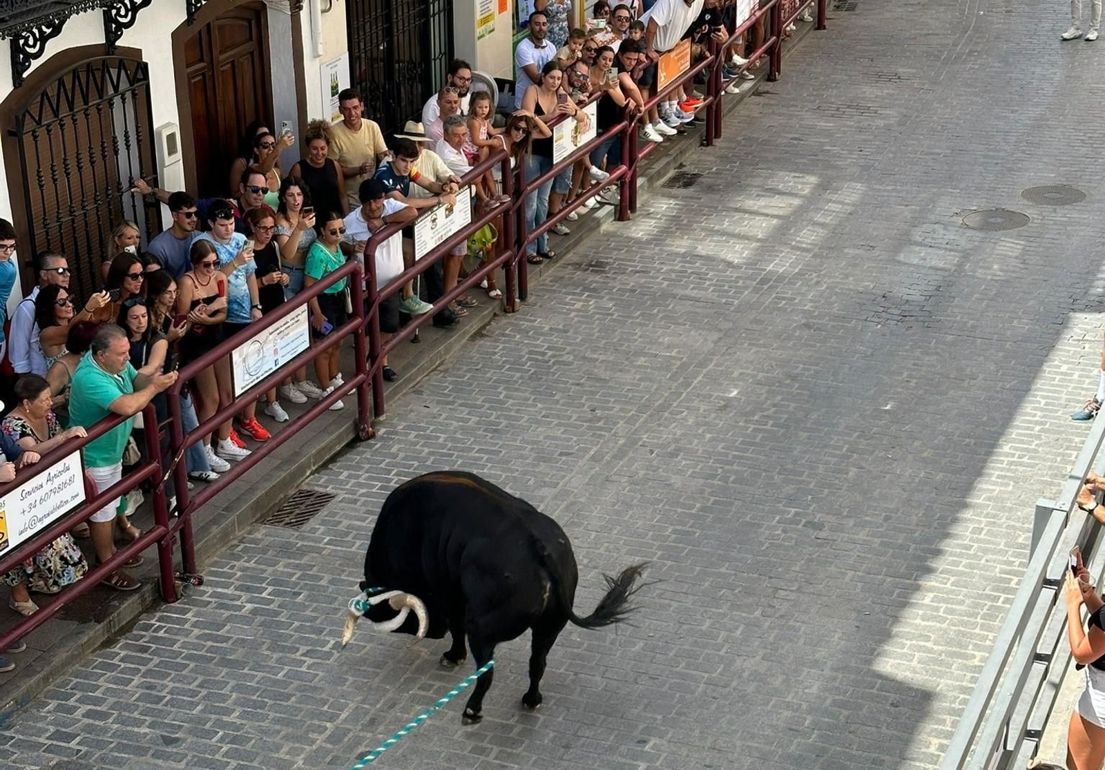 Las fotos del toro de cuerda de Carcabuey