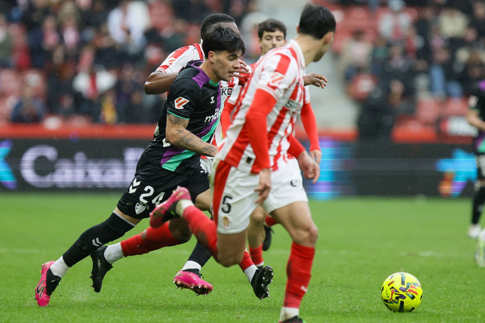 El Sporting-Málaga CF, en fotos