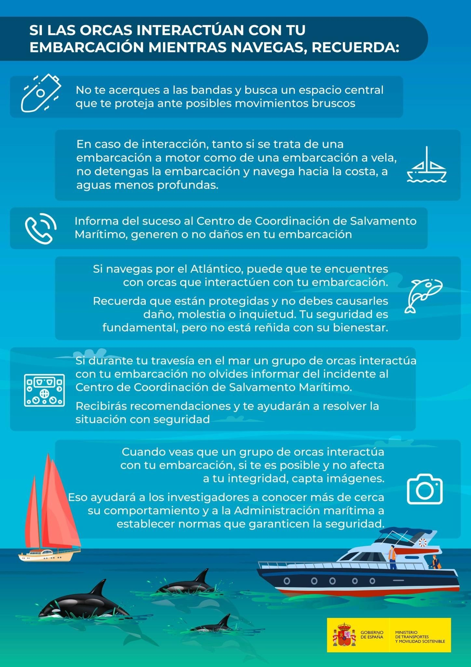 Consejos ante el encuentro con orcas.