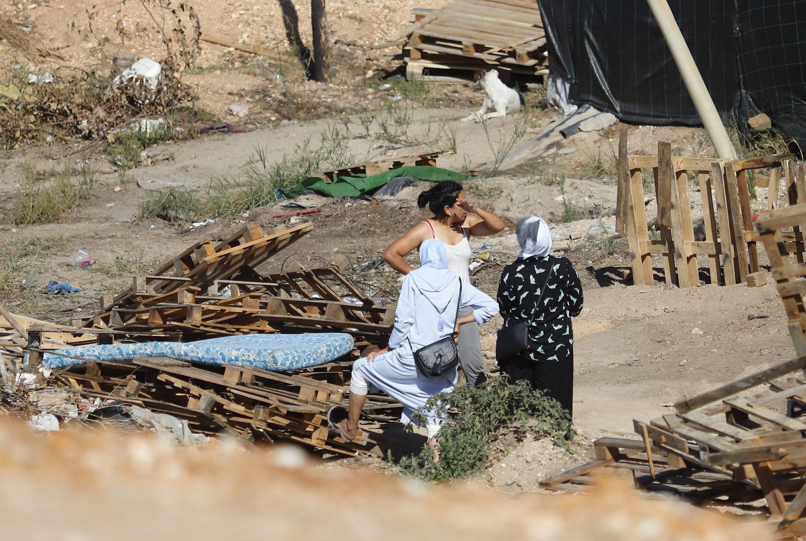 Las imágenes más destacadas del lunes 25 de septiembre en Huelva