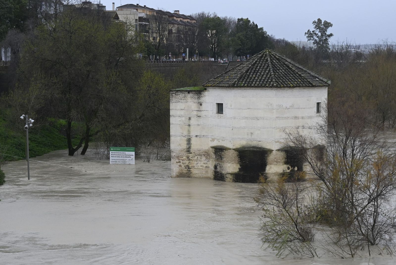 El río Guadalquivir supera los cuatro metros de altura a su paso por Córdoba, en imágenes