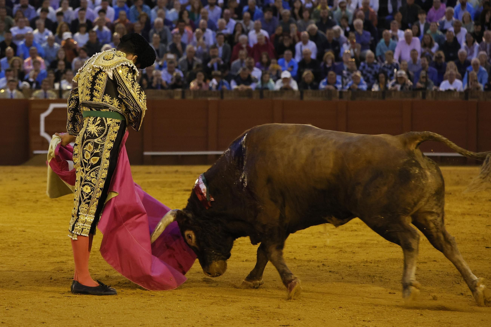 Las imágenes del festejo