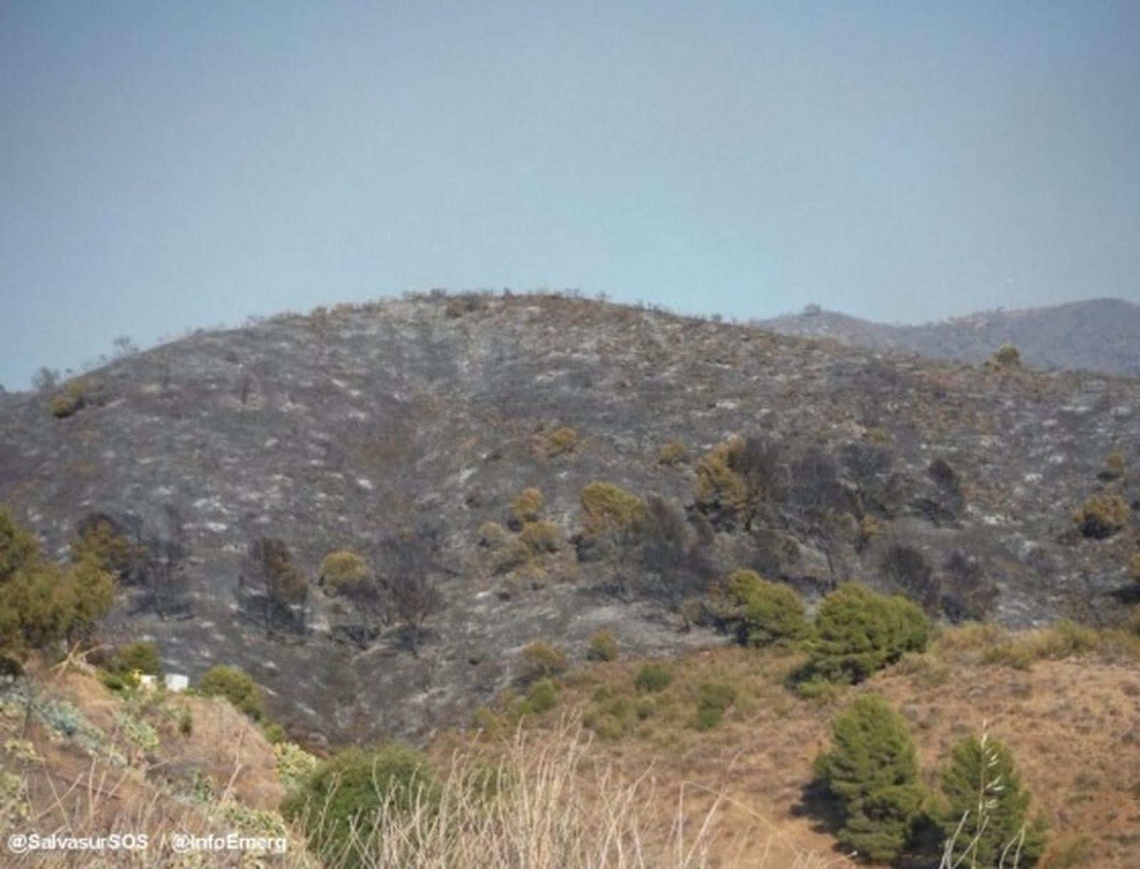 Las imágenes del incendio forestal en los Montes de Málaga