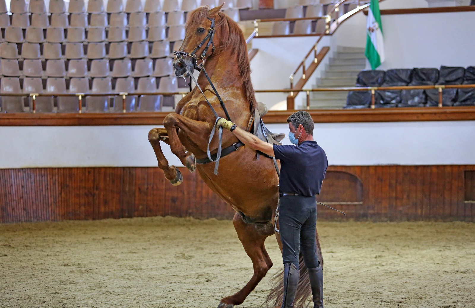 Real Escuela de Arte Ecuestre,Coronavirus