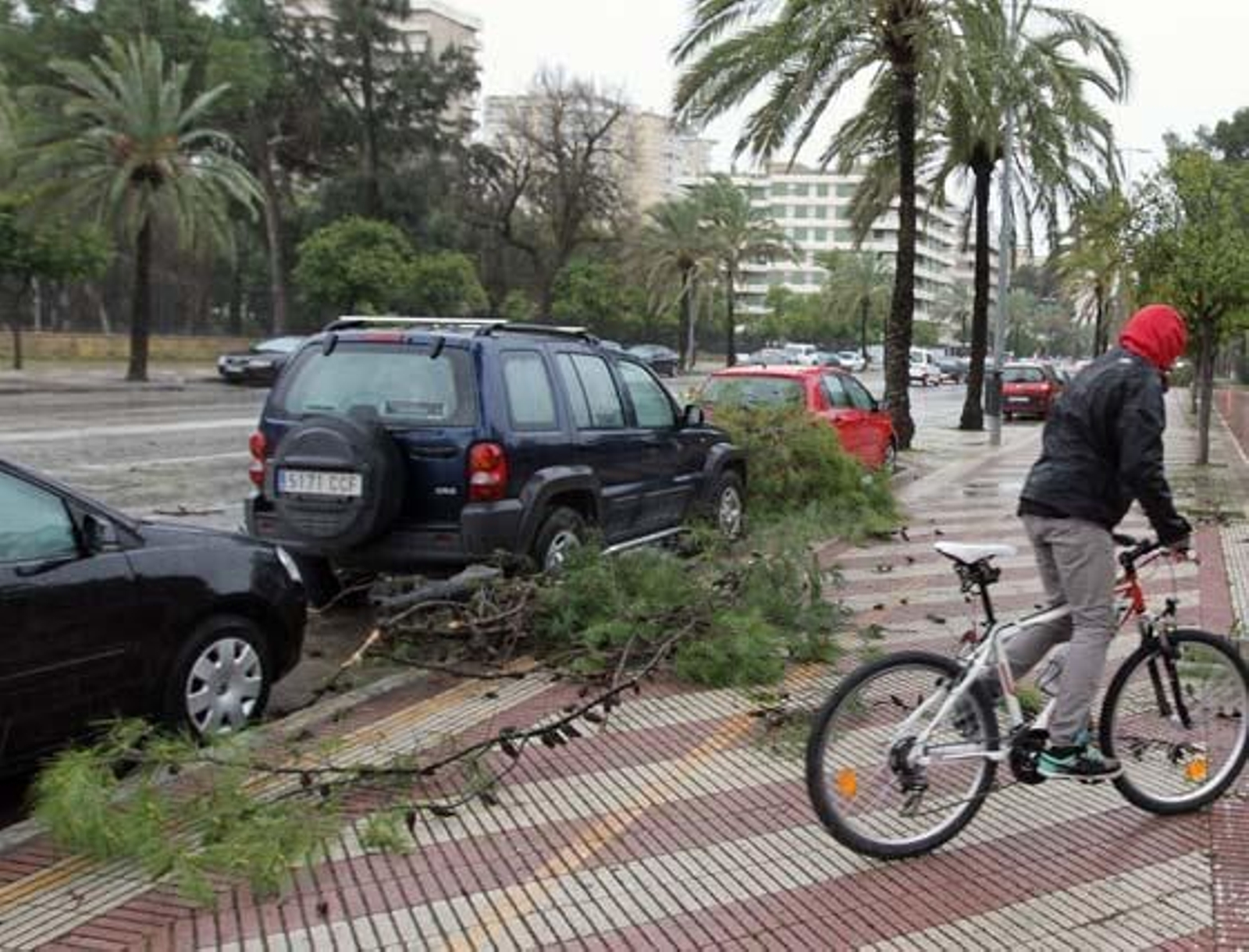Los bomberos tras el vendaval tenían prevista la retirada de las ramas y los árboles caídos.

Foto: miguel ángel gonzález
