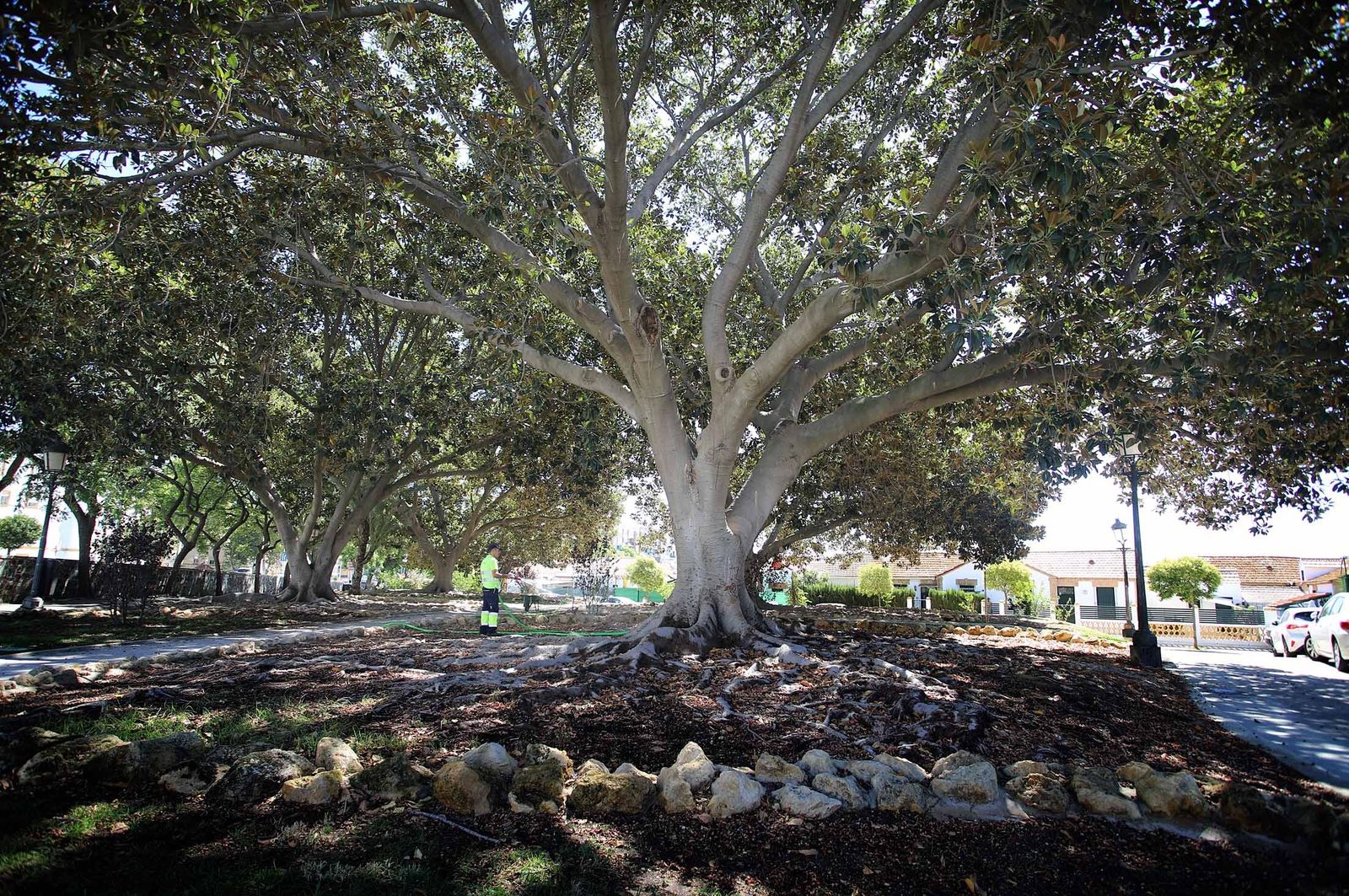 Imágenes del martes 29 de agosto en Huelva