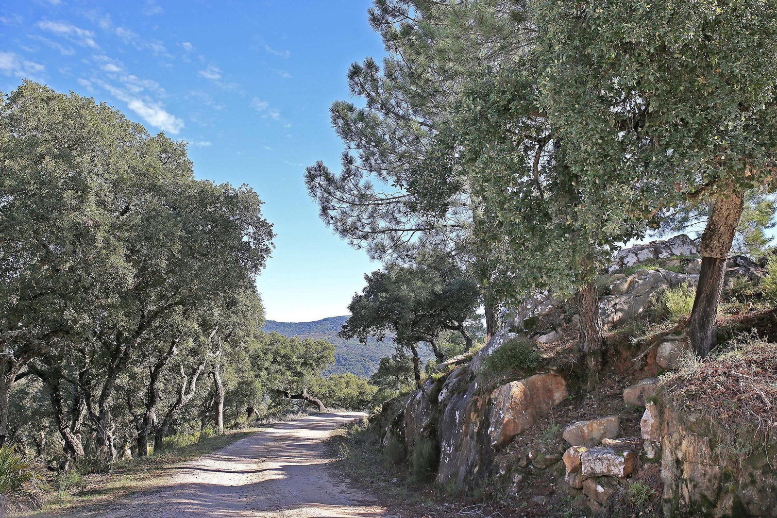 Paseo por los Montes de Propios