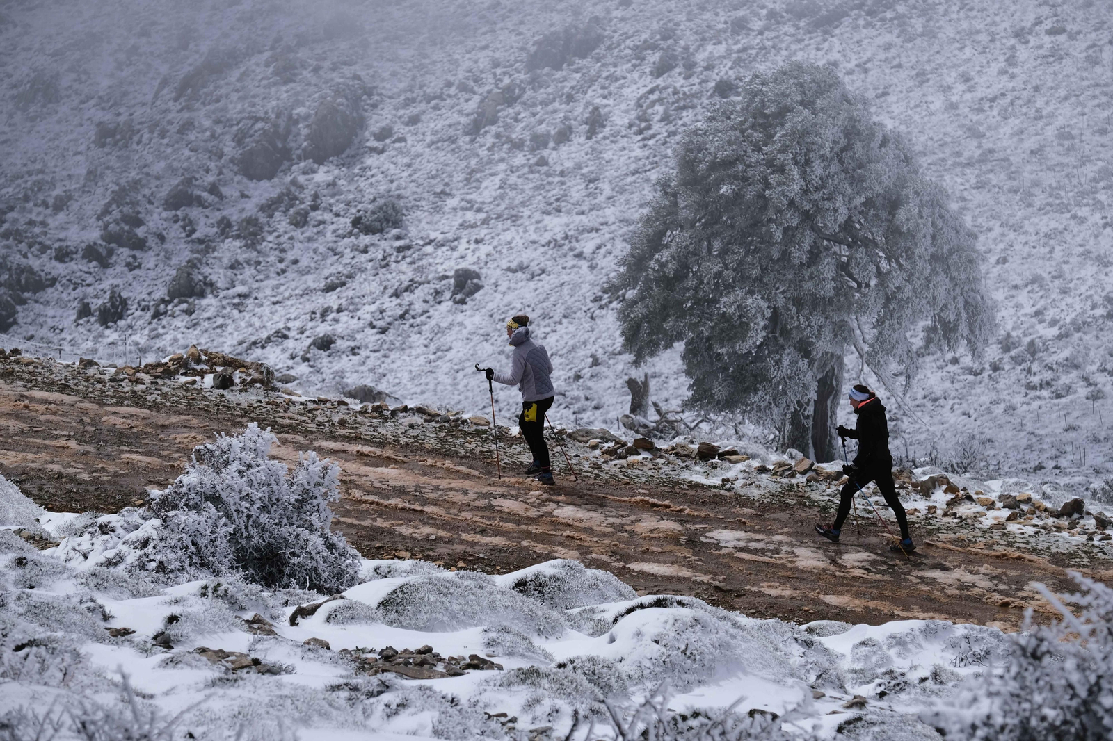 La nevada en la Sierra de las Nieves, en fotos.