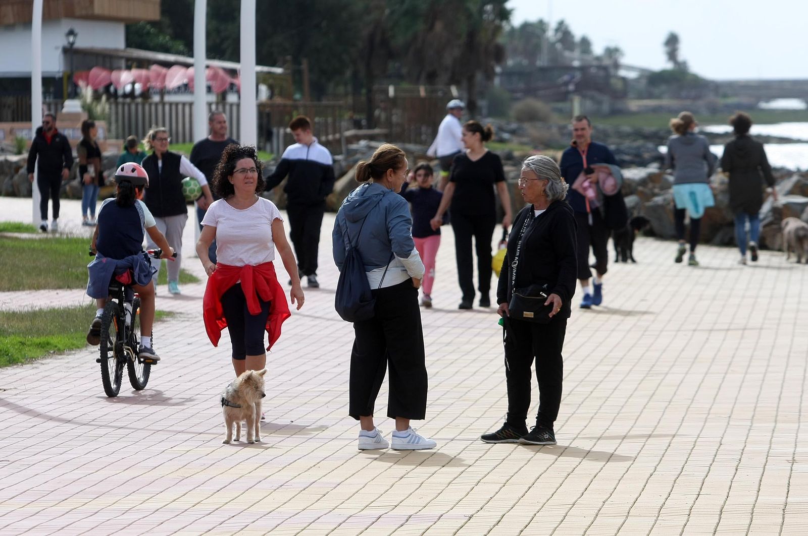 Imágenes del domingo 29 de octubre en Huelva
