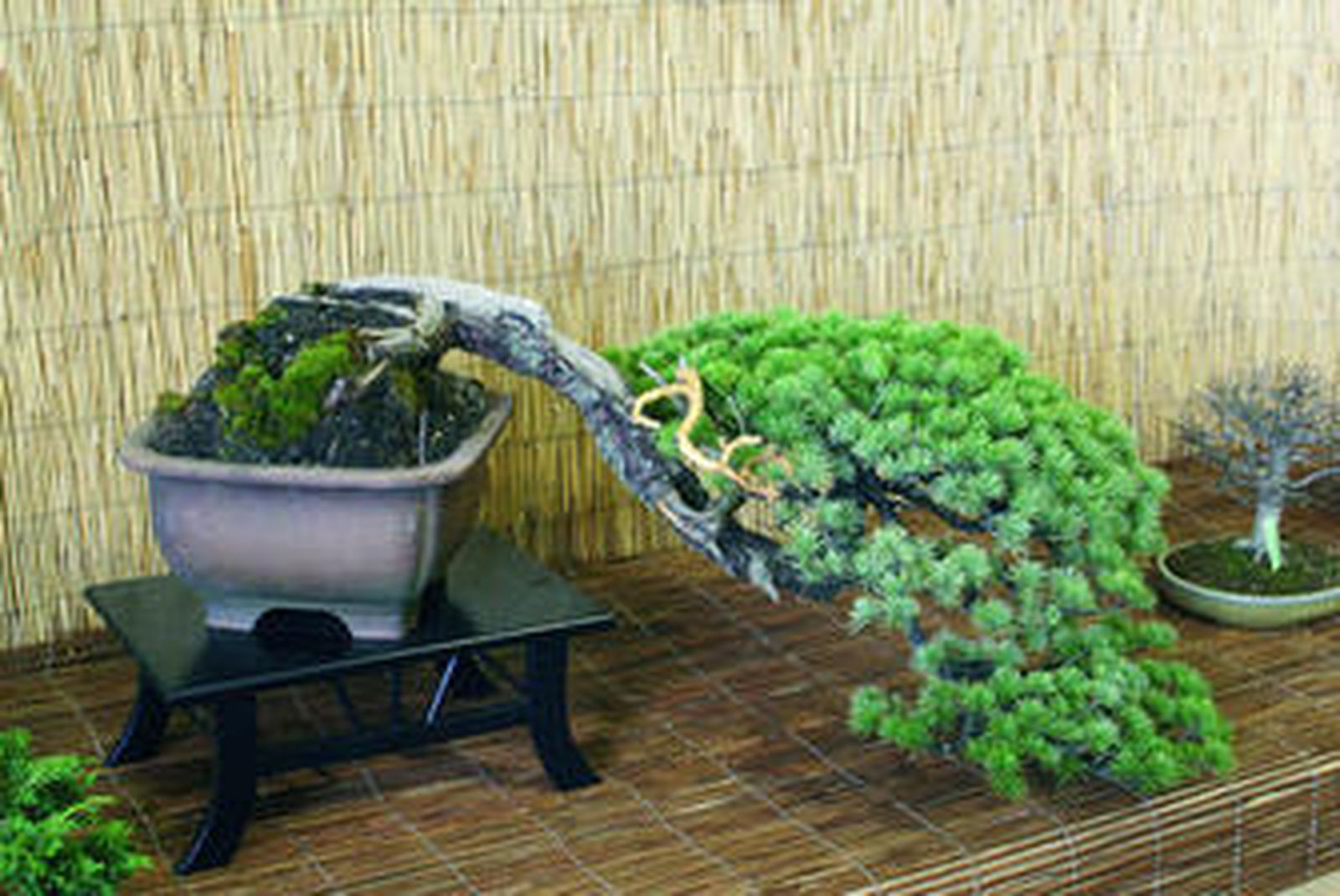 En las raíces del minimalismo