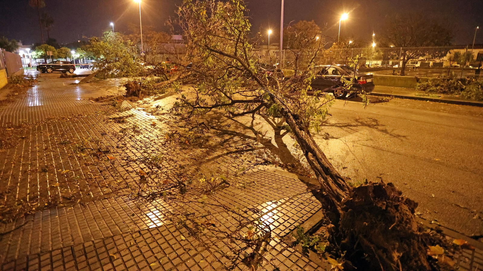 Tornado en Jerez Tornado en Jerez
